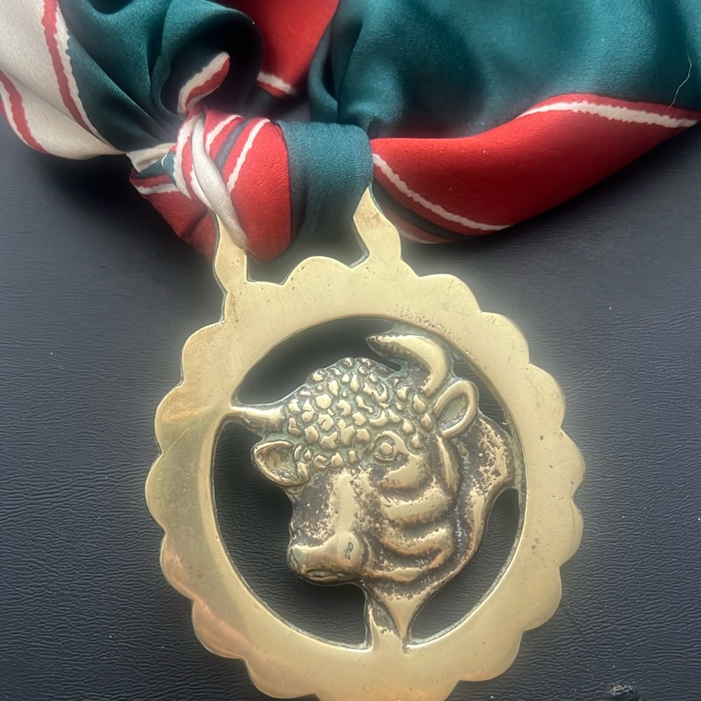 Antique Horse brass bull necklace